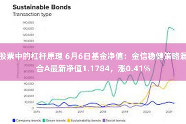 股票中的杠杆原理 6月6日基金净值：金信稳健策略混合A最新净值1.1784，涨0.41%