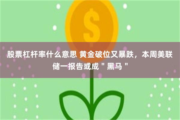 股票杠杆率什么意思 黄金破位又暴跌，本周美联储一报告或成＂黑马＂