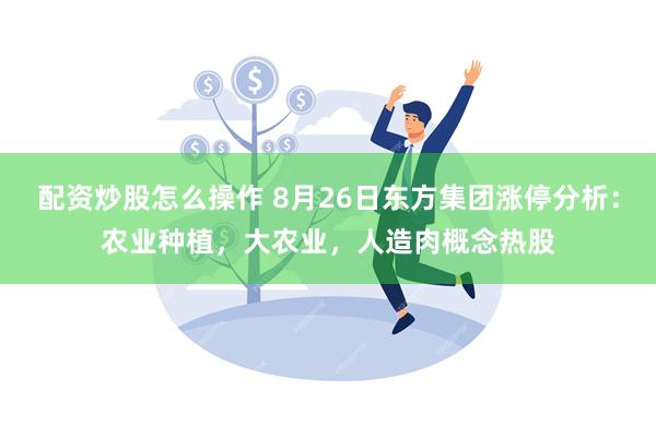 配资炒股怎么操作 8月26日东方集团涨停分析：农业种植，大农业，人造肉概念热股