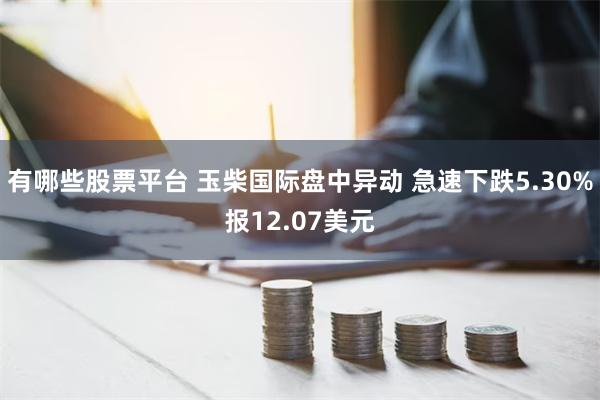 有哪些股票平台 玉柴国际盘中异动 急速下跌5.30%报12.07美元