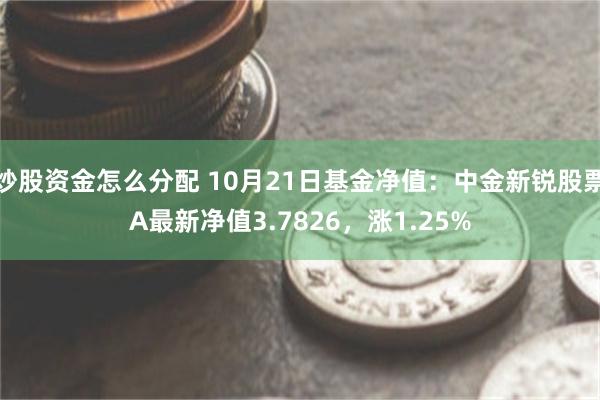 炒股资金怎么分配 10月21日基金净值：中金新锐股票A最新净值3.7826，涨1.25%