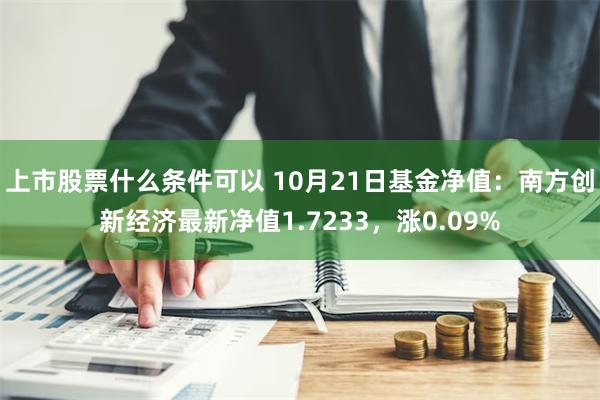 上市股票什么条件可以 10月21日基金净值：南方创新经济最新净值1.7233，涨0.09%