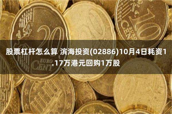 股票杠杆怎么算 滨海投资(02886)10月4日耗资1.17万港元回购1万股