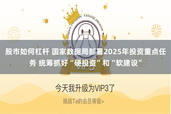 股市如何杠杆 国家数据局部署2025年投资重点任务 统筹抓好“硬投资”和“软建设”