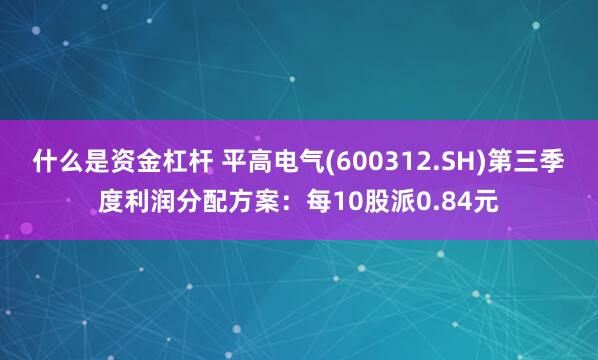 什么是资金杠杆 平高电气(600312.SH)第三季度利润分配方案：每10股派0.84元