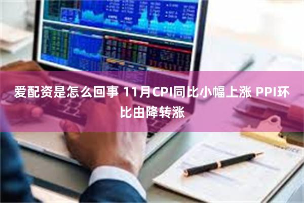 爱配资是怎么回事 11月CPI同比小幅上涨 PPI环比由降转涨