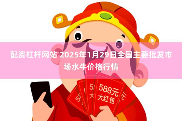 配资杠杆网站 2025年1月29日全国主要批发市场水牛价格行情