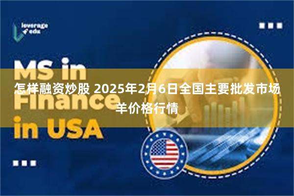 怎样融资炒股 2025年2月6日全国主要批发市场羊价格行情