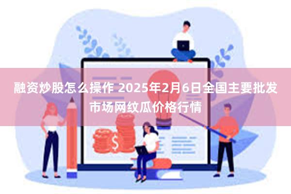 融资炒股怎么操作 2025年2月6日全国主要批发市场网纹瓜价格行情