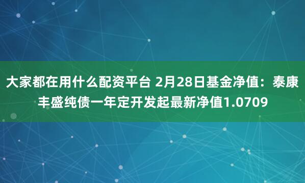 大家都在用什么配资平台 2月28日基金净值：泰康丰盛纯债一年定开发起最新净值1.0709