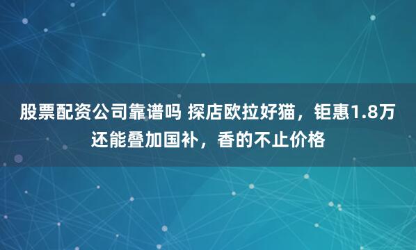 股票配资公司靠谱吗 探店欧拉好猫，钜惠1.8万还能叠加国补，香的不止价格