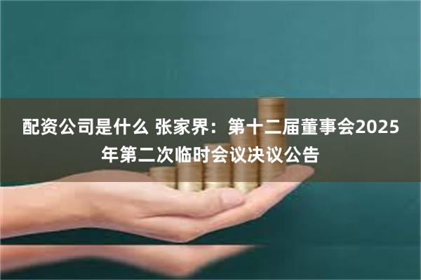 配资公司是什么 张家界：第十二届董事会2025年第二次临时会议决议公告