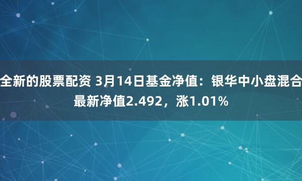 全新的股票配资 3月14日基金净值：银华中小盘混合最新净值2.492，涨1.01%